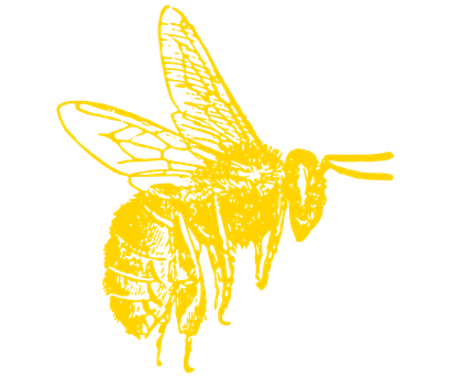 abeille dessin jaune-1.png